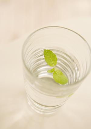 【南越谷駅徒歩2分】ワインと肉料理が楽しめる越谷ミート酒場 ビンゴ